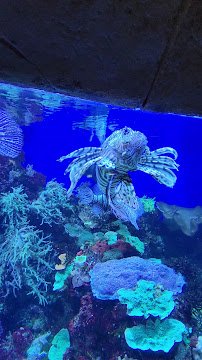 Colorado Ocean Journey photo 2