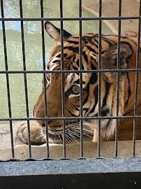 Central Coast Zoo Society photo 2
