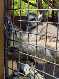 Central Coast Zoo Society photo 3