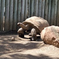 Central Coast Zoo Society photo 4