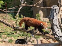 Central Coast Zoo Society photo 6