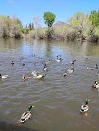 Tonaquint Nature Center photo 3