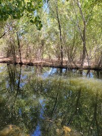 Tonaquint Nature Center photo 4