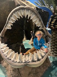 Blue Zoo Aquarium Des Moines