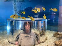 Blue Zoo Aquarium Des Moines photo 3