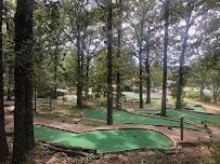 Gator Golf Miniature Golf Course photo 3