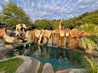 Gator Golf Miniature Golf Course photo 4