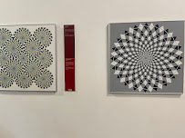 Museum of Illusions photo 5