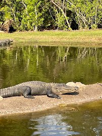 Gatorama Inc. photo 4