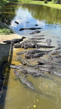 Gatorama Inc. photo 5