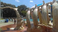 Highland Park Aquatic Center photo 6