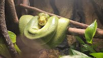 The Reptile Discovery Center