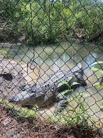The Reptile Discovery Center photo 3