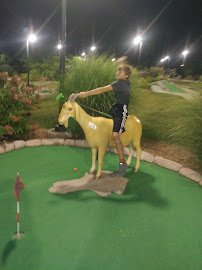 Overlook Adventure Park photo 5