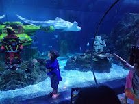 SEA LIFE Aquarium