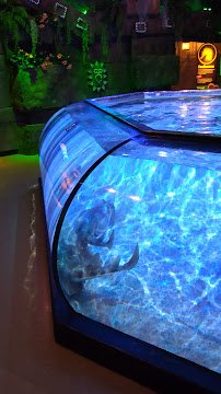 SEA LIFE Aquarium photo 2