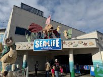 SEA LIFE Aquarium photo 3