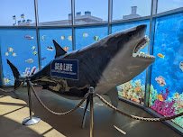 SEA LIFE Aquarium photo 5