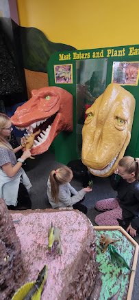 Curious Kids' Museum photo 2