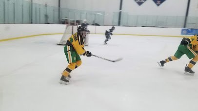 Cadillac Ice Arena photo 5