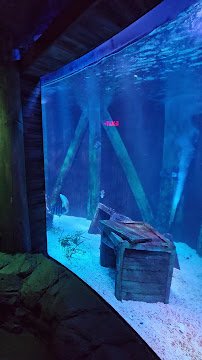 SEA LIFE Florida Aquarium at LEGOLAND® Florida Resort