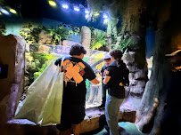 SEA LIFE Florida Aquarium at LEGOLAND® Florida Resort photo 4