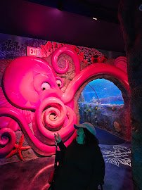 SEA LIFE Florida Aquarium at LEGOLAND® Florida Resort photo 5