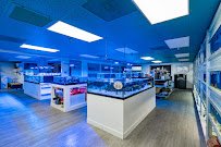 Limited Edition Corals Aquariums photo 2