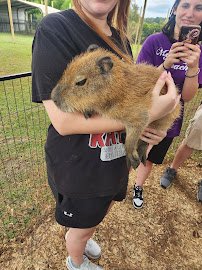 Parkton Animal Oasis