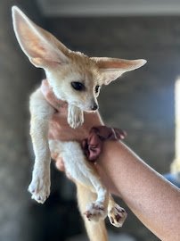 Parkton Animal Oasis photo 3