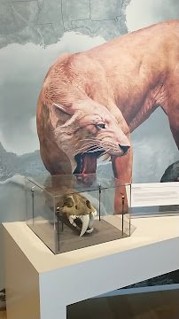 Florence County Museum photo 2