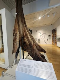 Florence County Museum photo 4