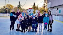 Skatetown Ice Arena photo 6