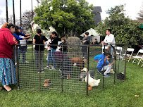 Itty Bitty Mobile Petting Zoo photo 6