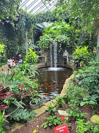 Cambridge Butterfly Conservatory photo 3