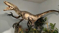 Creation Discovery Museum photo 4