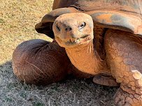 Oklahoma City Zoo photo 5