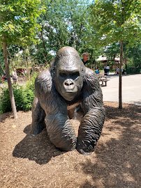 Oklahoma City Zoo photo 6