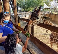 Dallas Zoological Society