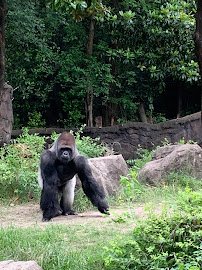 Dallas Zoological Society photo 4