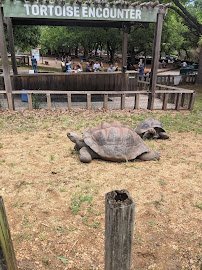 Dallas Zoological Society photo 5