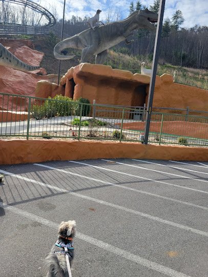 Jurassic Tymes Mini Golf (Goats on the Roof) photo 5