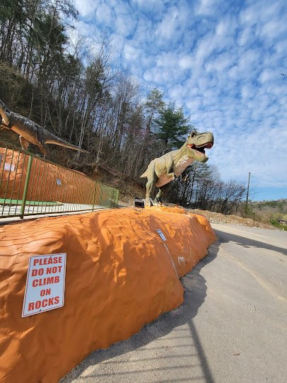 Jurassic Tymes Mini Golf (Goats on the Roof) photo 6