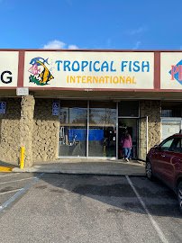 Clear Water Aquarium