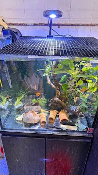 Clear Water Aquarium photo 2