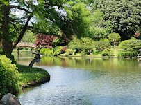 Missouri Botanical Garden photo 4