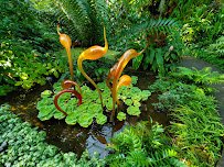 Missouri Botanical Garden photo 5