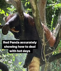 Elephant Odyssey photo 2