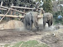 Elephant Odyssey photo 3