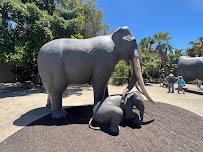 Elephant Odyssey photo 5